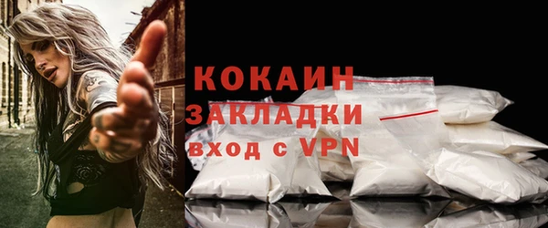 PSILOCYBIN Бронницы