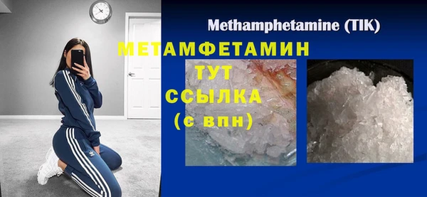 молекула духа Богданович