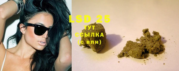 молекула духа Богданович