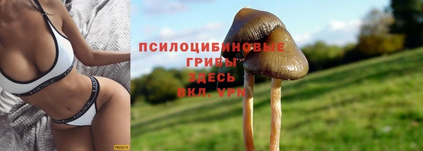 PSILOCYBIN Бронницы