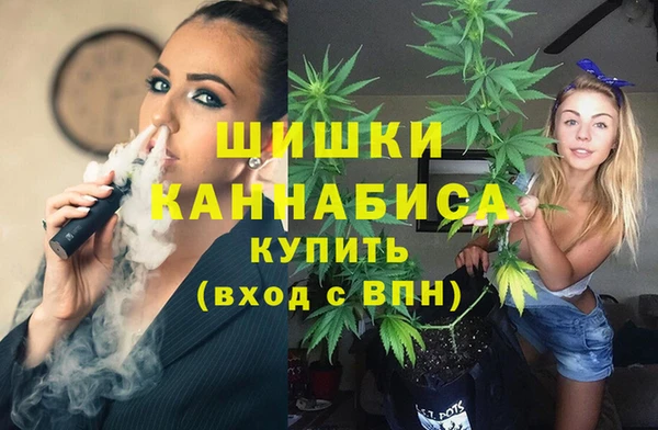 ALPHA PVP Богородицк