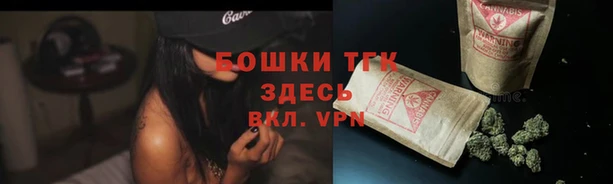молекула духа Богданович