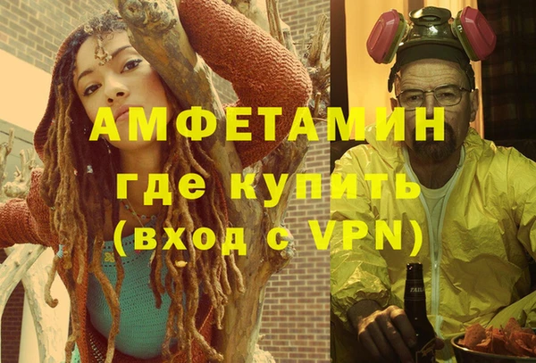 молекула духа Богданович