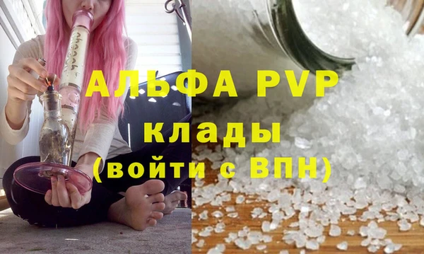 молекула духа Богданович