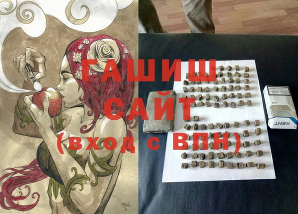 молекула духа Богданович