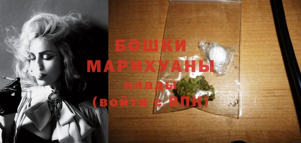 молекула духа Богданович