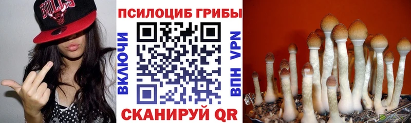 Галлюциногенные грибы ЛСД  Купить где  Кулебаки 